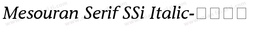 Mesouran Serif SSi Italic字体转换